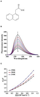 Multi-Spectroscopic and Molecular Simulation Approaches to Characterize the Intercalation Binding of 1-Naphthaleneacetic Acid With Calf Thymus DNA